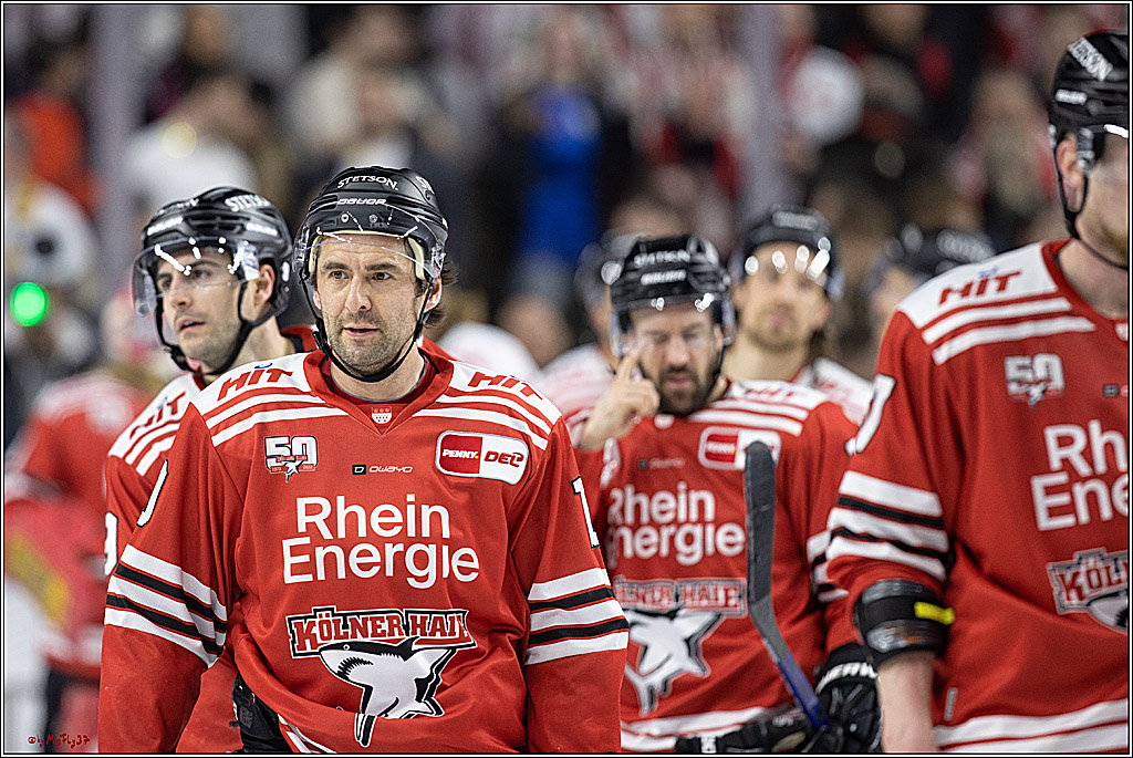 PENNY DEL;  Koelner Haie - Bietigheim Steelers; Koeln, 22.01.2023